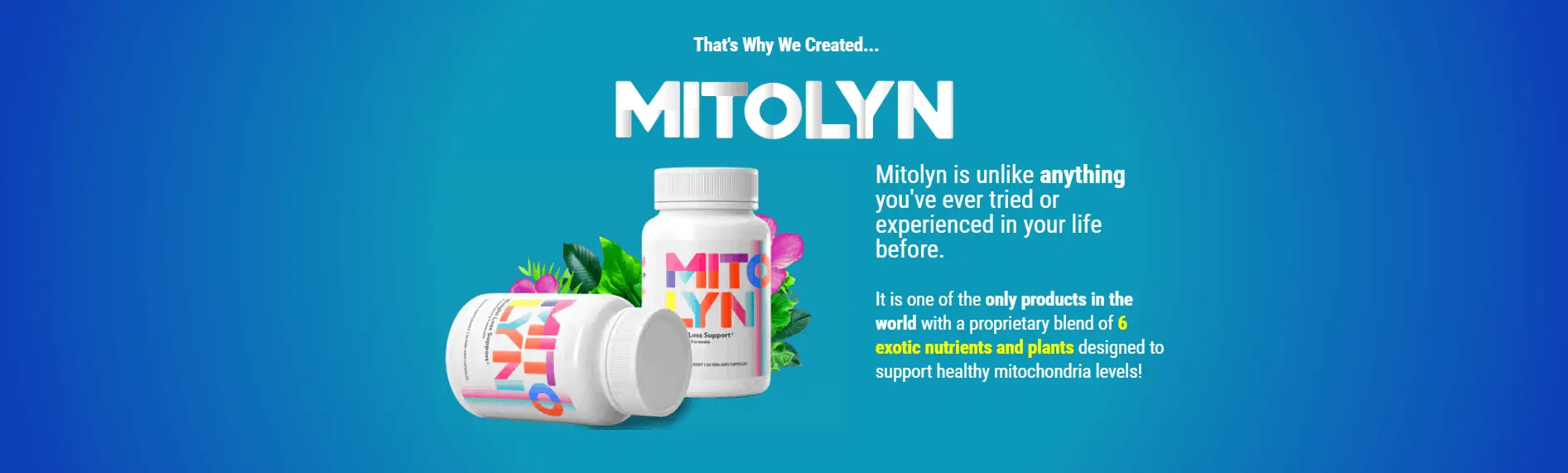 buy mitolyn now